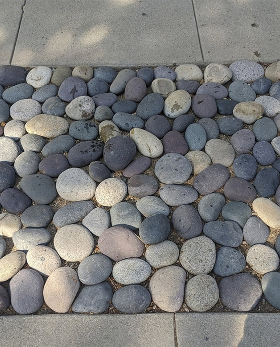 Mixed Colors Mexican Beach Pebbles 3" - 5"