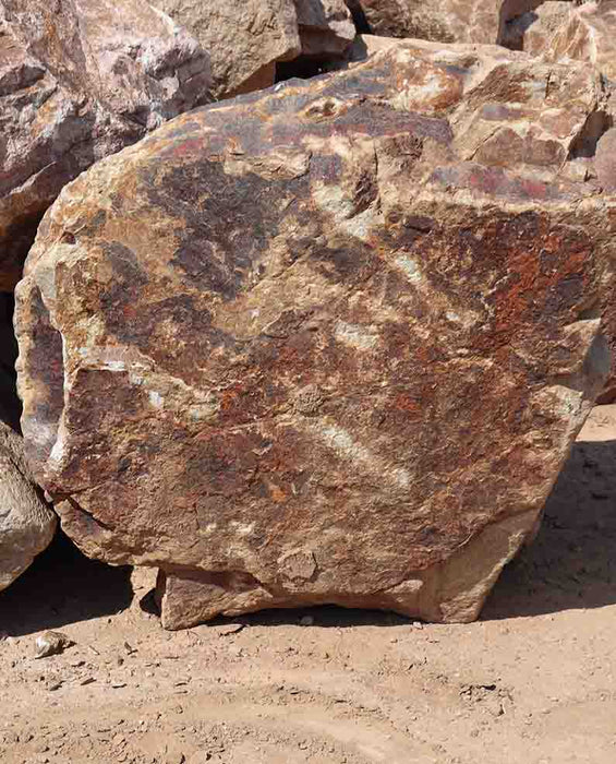Auburn Brown Boulders Specimens