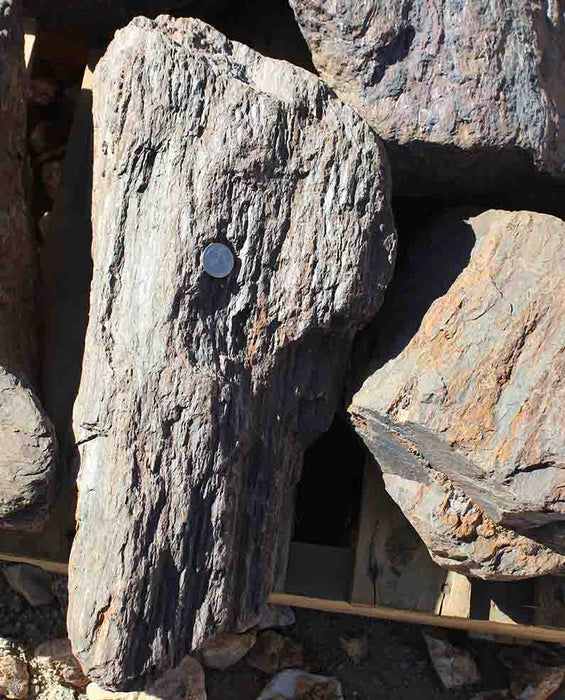 Barkwood Rock Boulders Specimens