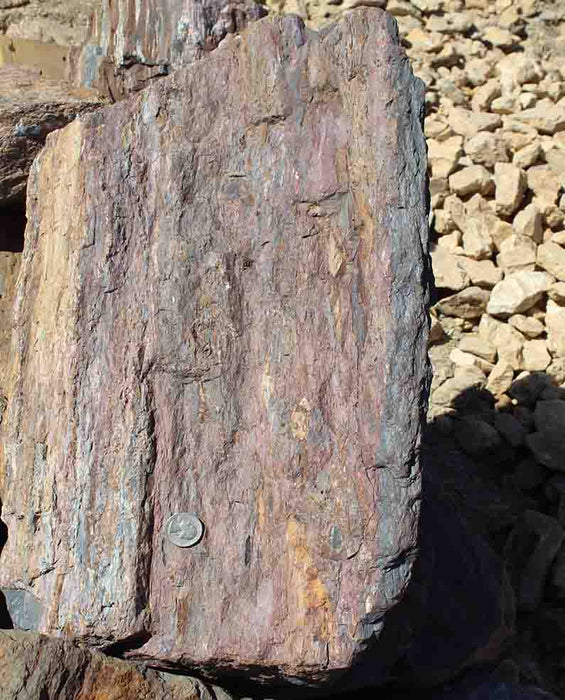 Barkwood Rock Boulders 12" - 18"