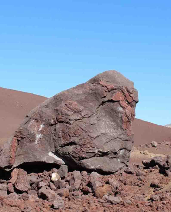 Black n Burgundy Lava Boulders 30" - 36"