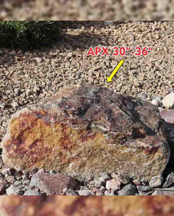 Casino Royal Gold Boulders 30" - 36"