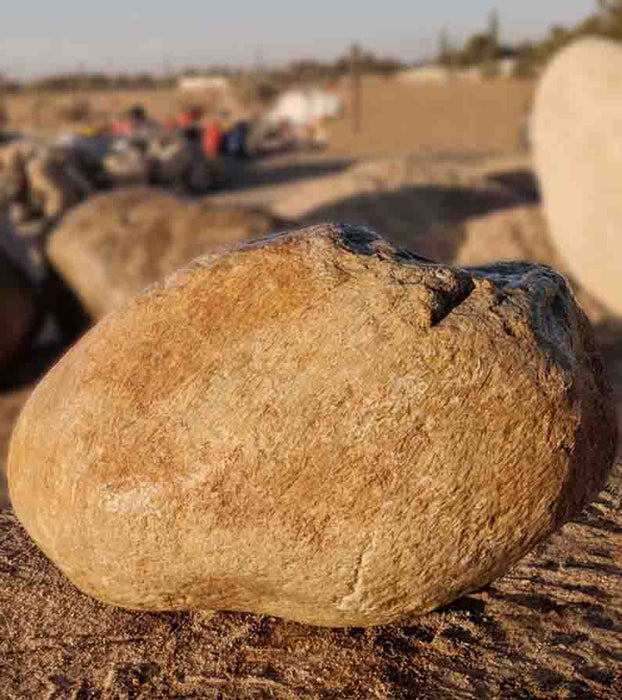 Foothill River Boulders Specimens