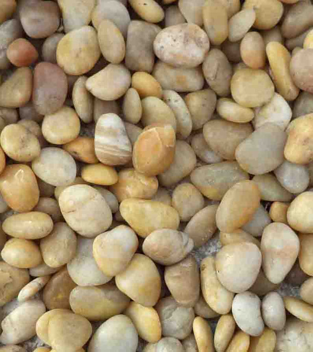Gold Polished Pebbles 1" - 2"