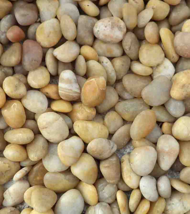 Gold Polished Pebbles 1/2" - 1"