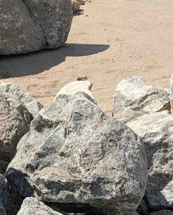 Grey Granite River Boulders 12" - 18"