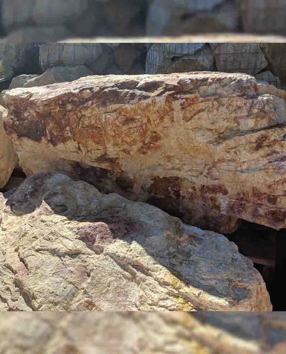 Palm Springs Gold Boulders 36" - 48"