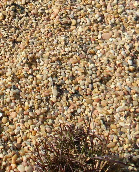 Salmon Bay Pebbles 3/8"