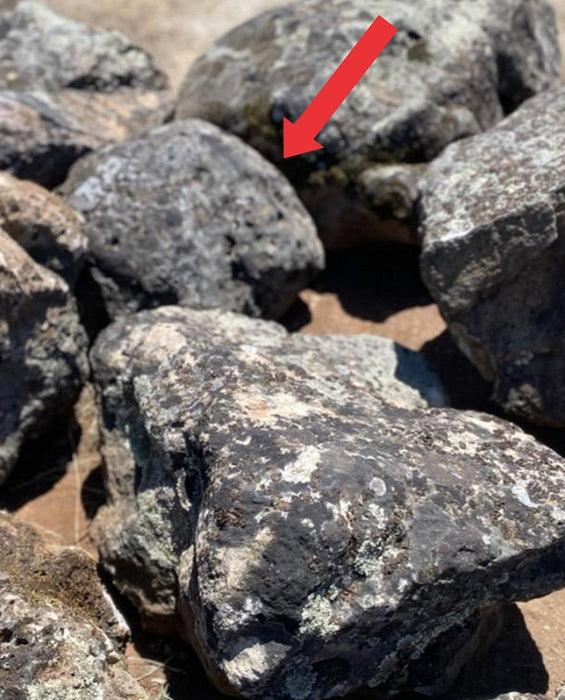 Sonoma Fieldstone Moss Rock Boulders 12" - 18"