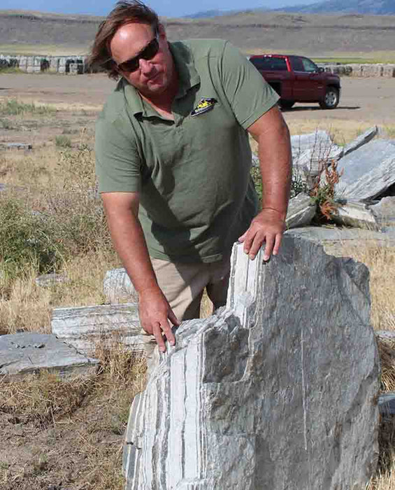 Zebra Quartzite Boulders 30" - 36"