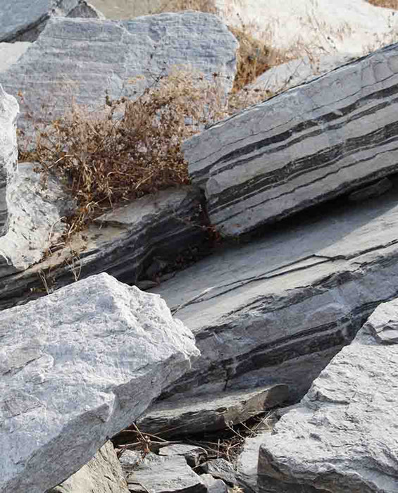 Zebra Quartzite Boulders 12" - 18"