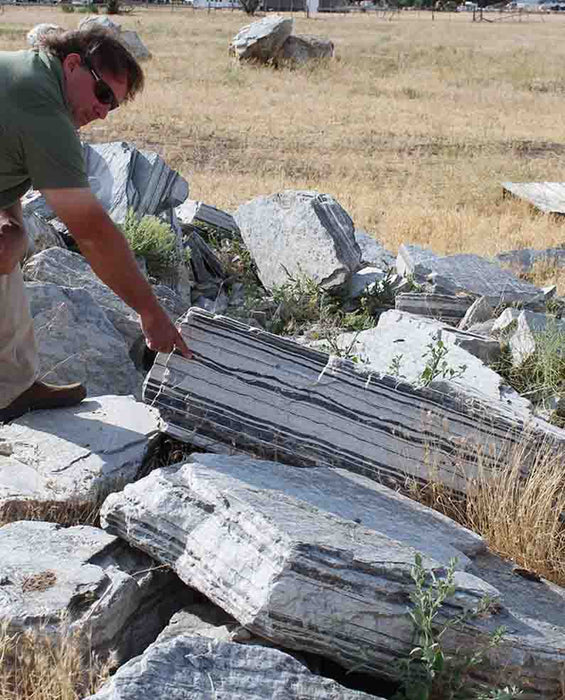 Zebra Quartzite Boulders 36" - 48"