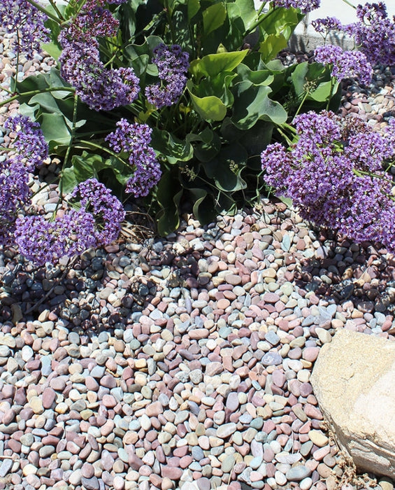 Pami Rainbow Pebbles 3/4"