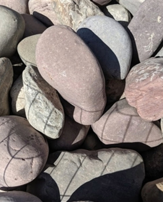 Pami Rainbow Pebbles 3" - 6"