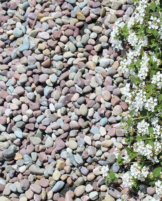 Pami Rainbow Pebbles 3/8"