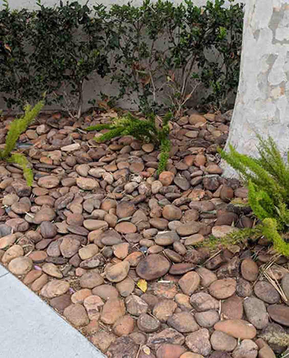 Baja Sunburst Beach Cobble 3" - 5"