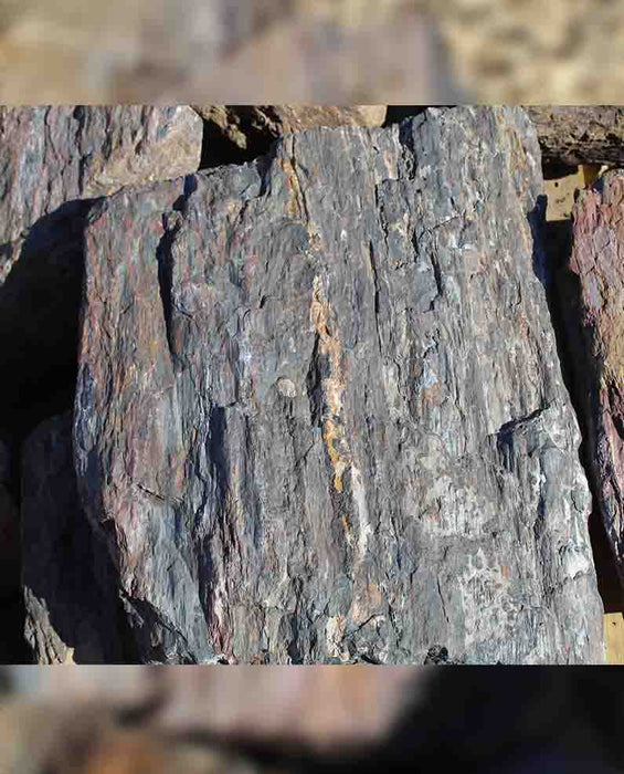 Barkwood Rock Boulders 18" - 24"
