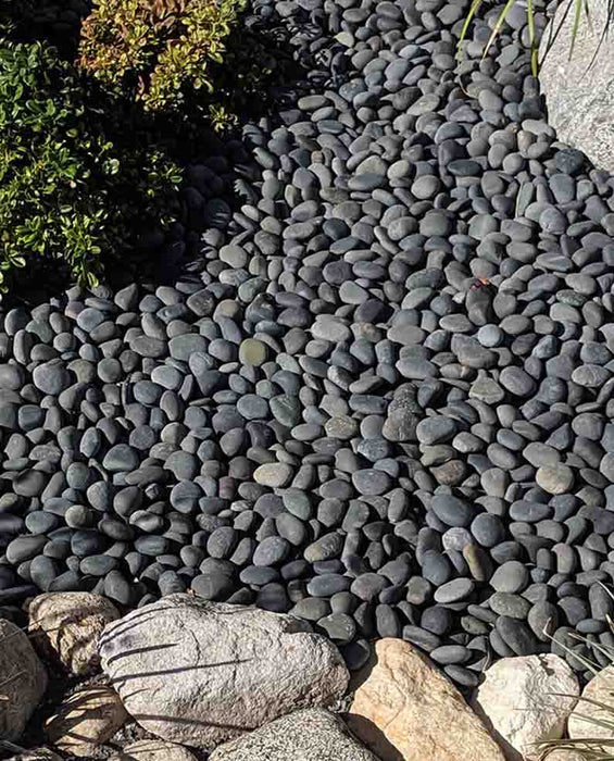 Black Mexican Beach Pebbles 1/2"