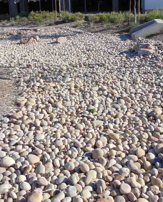 Buff Mexican Beach Pebbles 3" - 5"