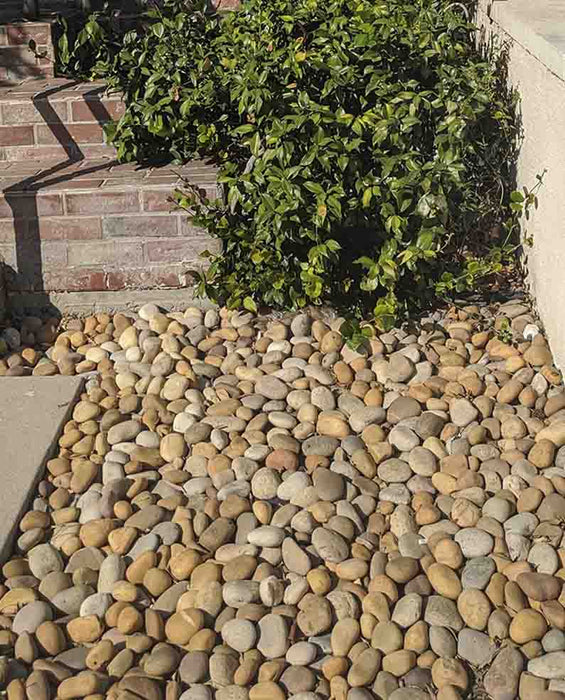 Buff Mexican Beach Pebbles 1" - 2"