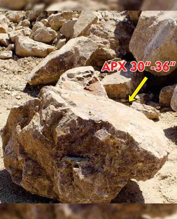 Casino Royal Gold Boulders 30" - 36"