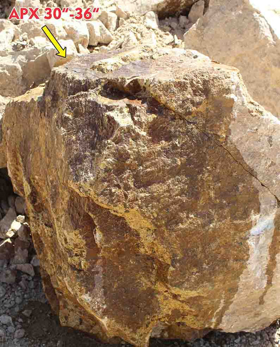 Casino Royal Gold Boulders 30" - 36"