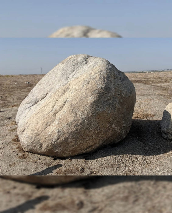 Sierra Salt n Pepper Boulders Specimens